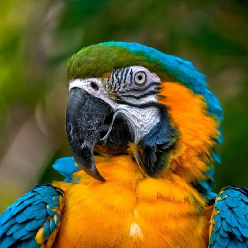 Naturaleza y ecoturismo desde Argentina