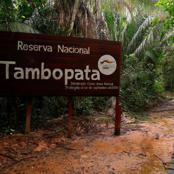 Tours en Tambopata  desde Argentina
