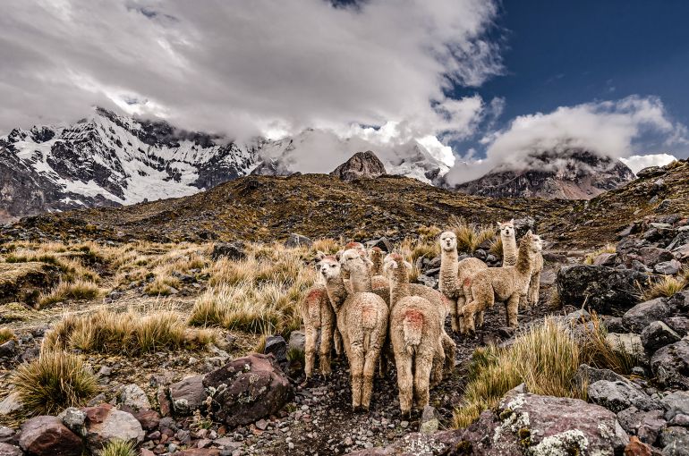Machu Picchu desde Argentina