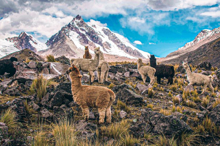 Machu Picchu desde Argentina