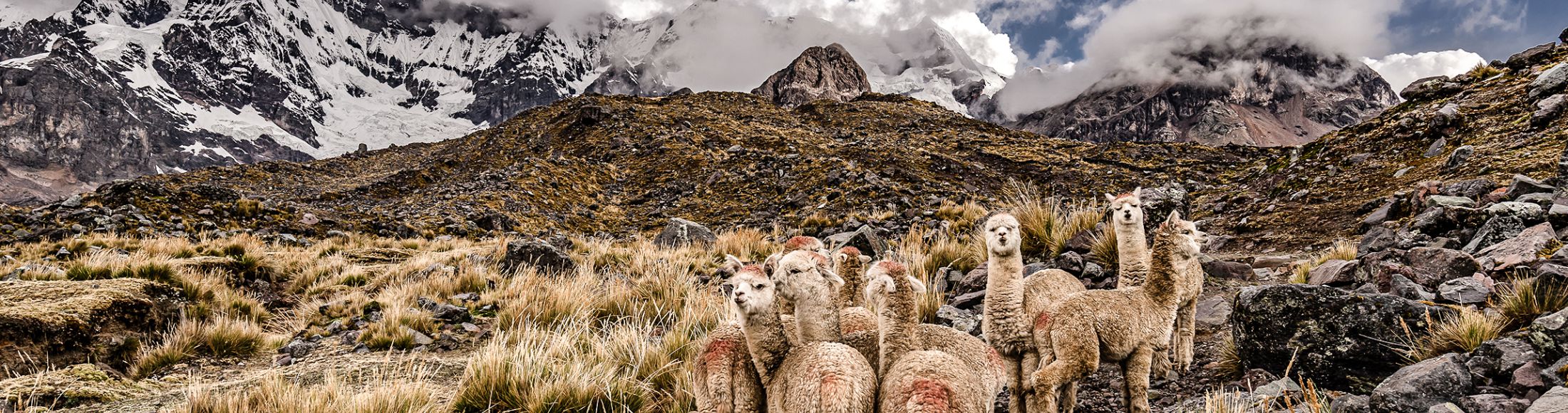 Machu Picchu 8D7N Viajero (Full Aventura Tendencia)  desde Argentina