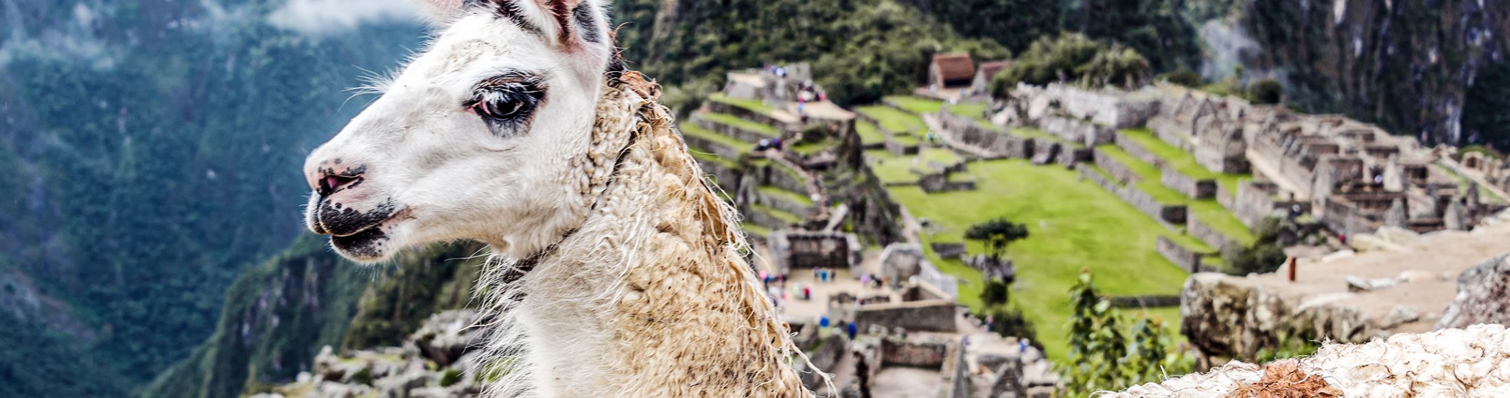 Machu Picchu 8D7N Viajero (Full Cultural)  desde Argentina