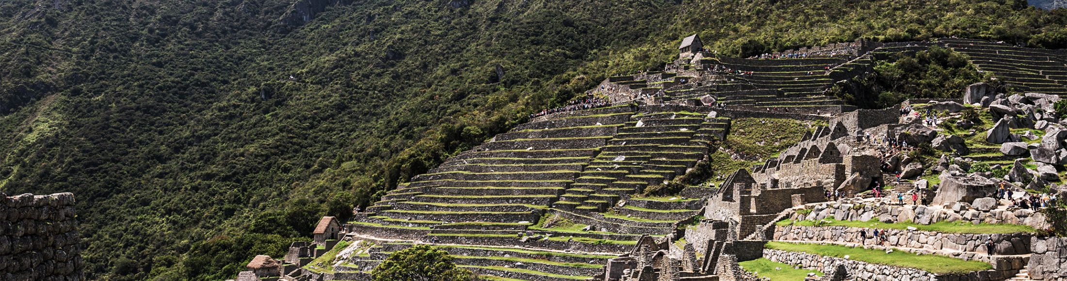Machu Picchu 8D7N Viajero (Aventura Clásica)  desde Argentina