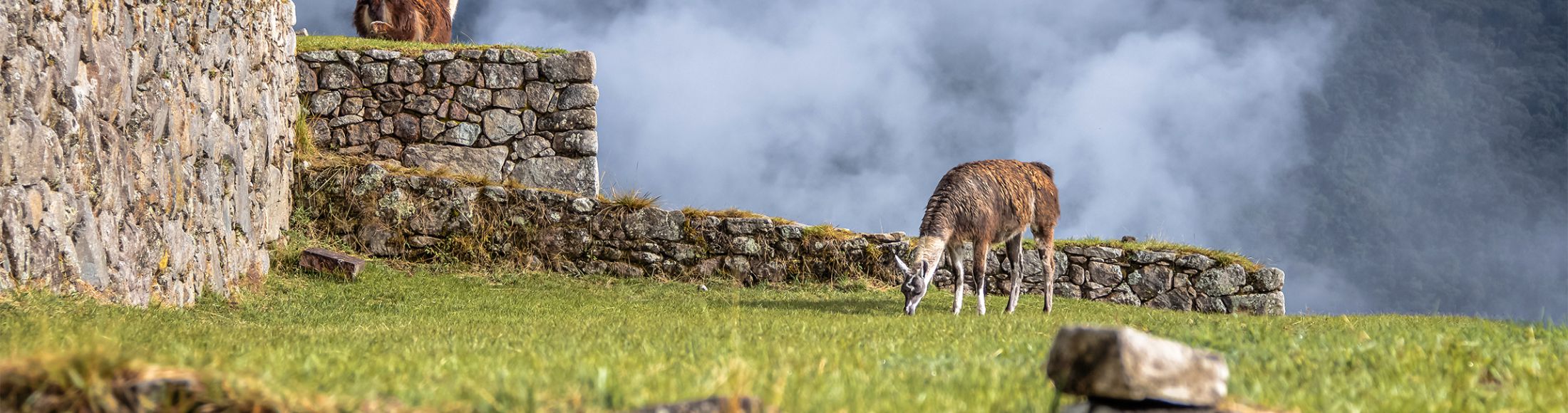 Machu Picchu 4D3N Viajero (Cultural Aventura)  desde Argentina