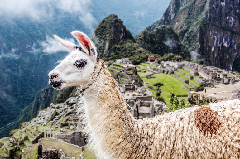 Machu Picchu desde Argentina