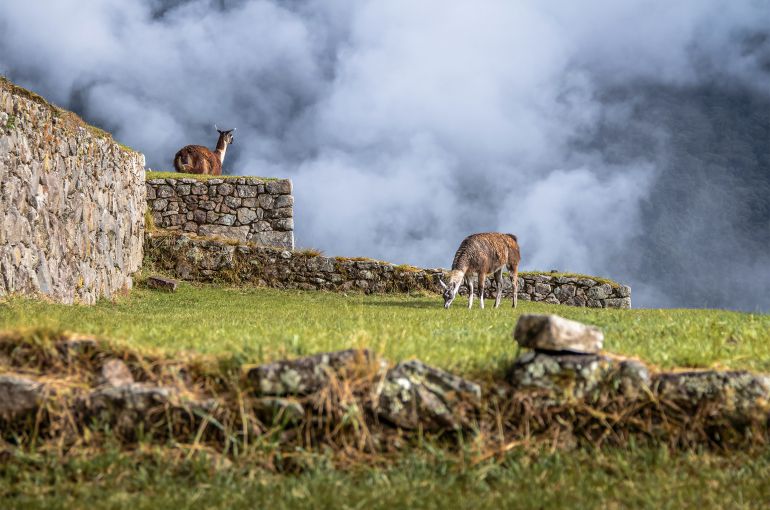 Machu Picchu desde Argentina